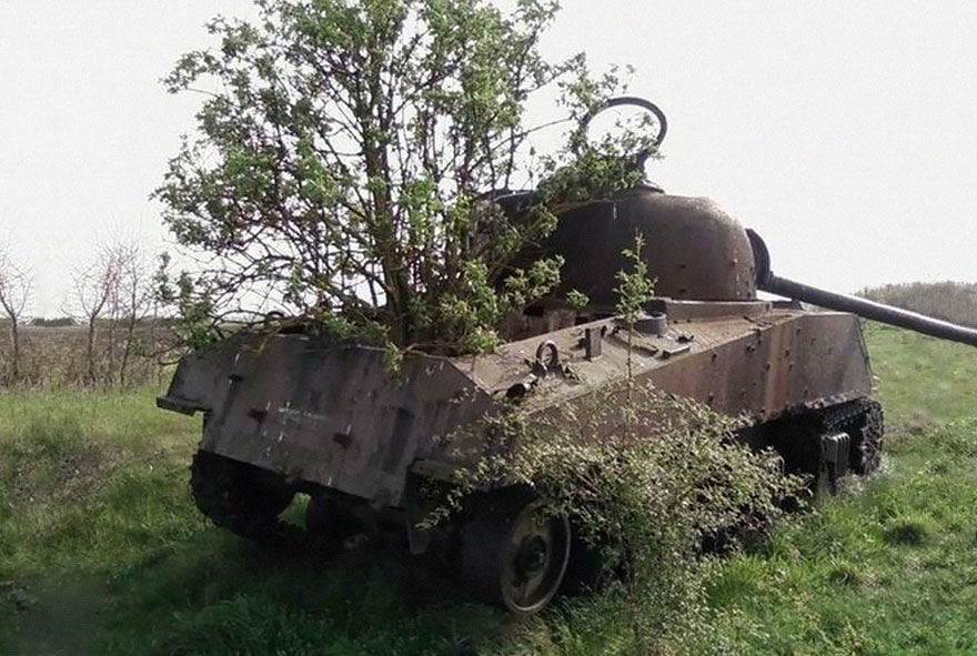 Tank Taken Over By Nature