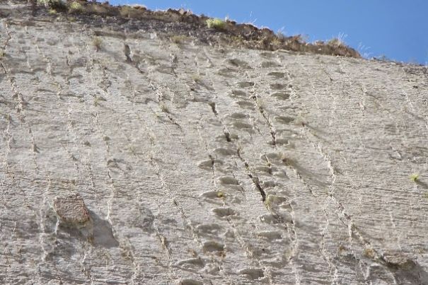 This Wall In Bolivia Has Over 5000 Dinosaur Footprints
