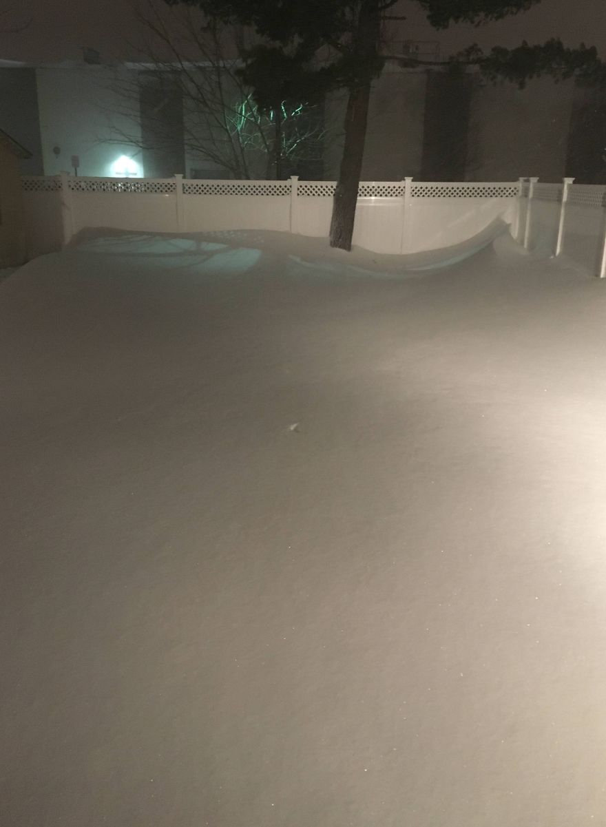 Snow In Our Backyard. Banana For Scale