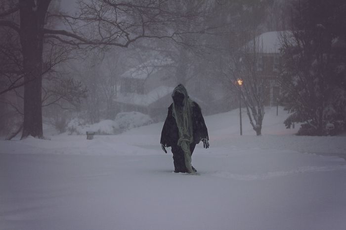 72 Pics That Perfectly Capture How Insane #Blizzard2016 Is