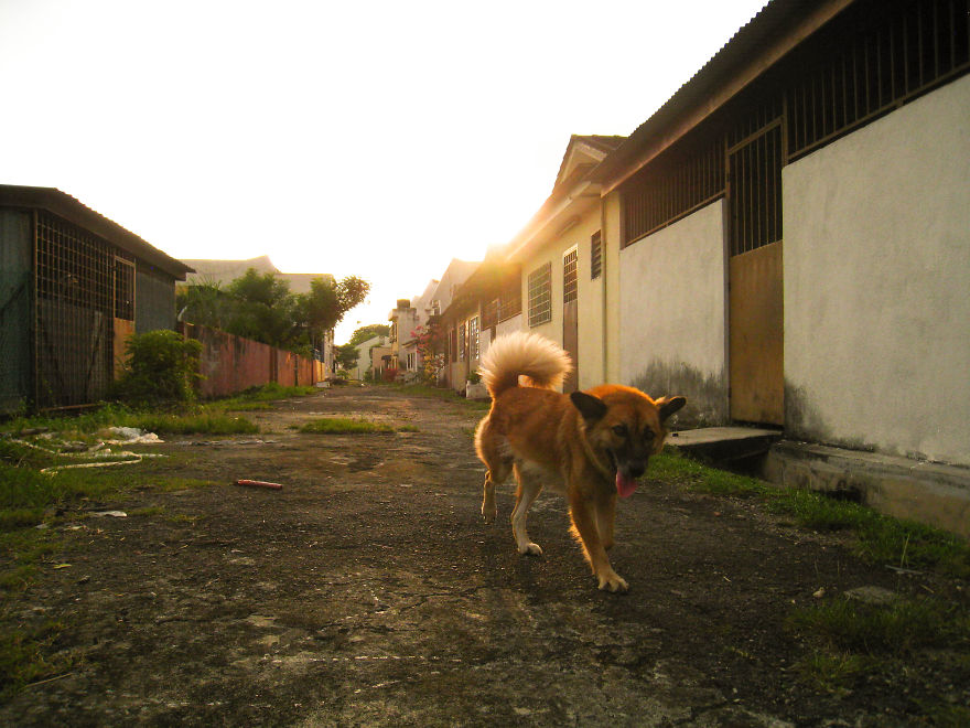 15 Year Old Photographer Needs Your Support :) 15 Year Old Photographer Needs Your Support :)