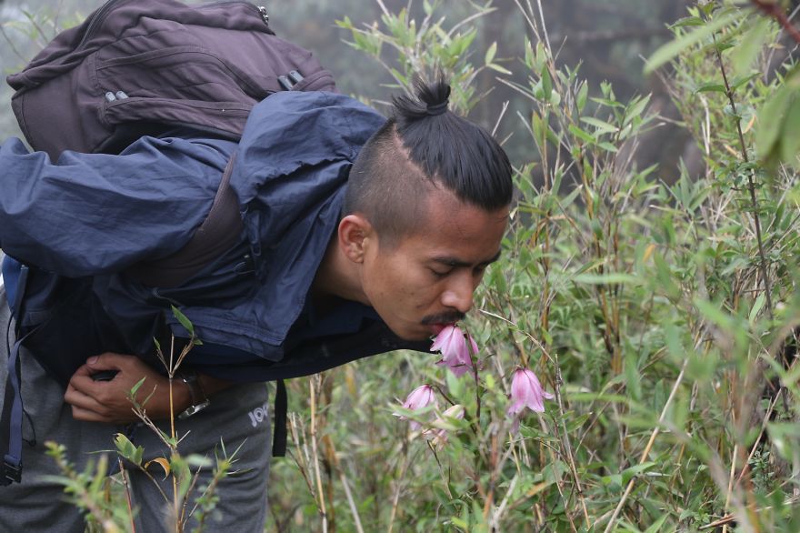 How About Human Sniffing Flowers