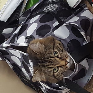 valerie_wisch avatar