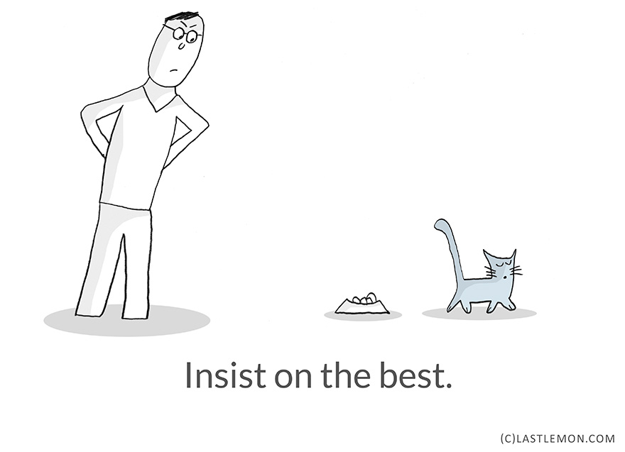 Life Lessons From Cats
