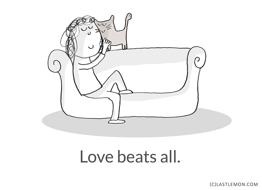 Life Lessons From Cats