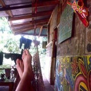 jaap_de_struikrover avatar