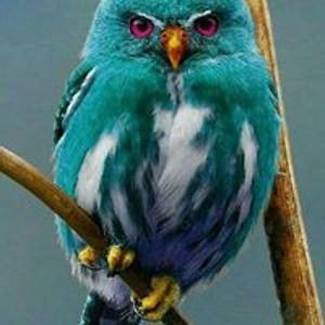 realtorherron avatar