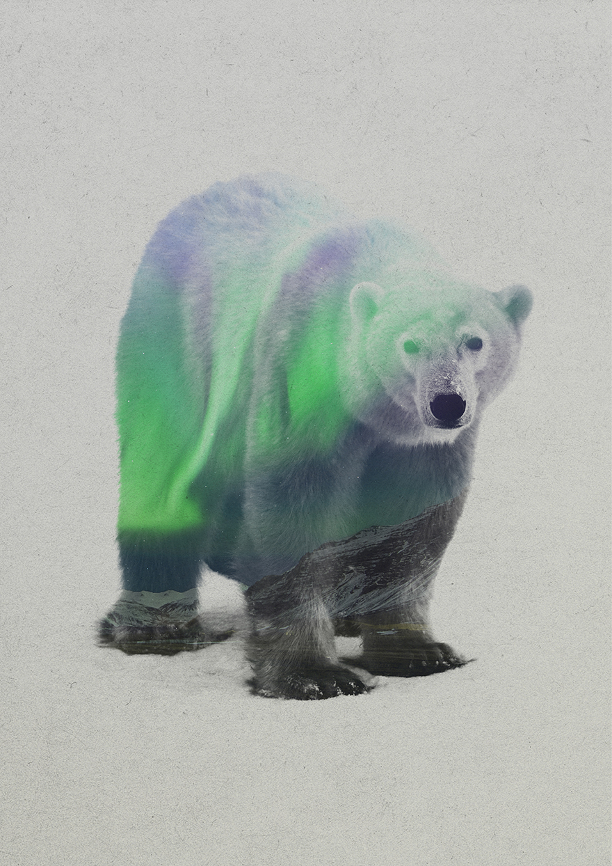 Double Exposure Portraits Of Animals In The Aurora Borealis
