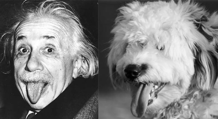 Einstein & Pufy