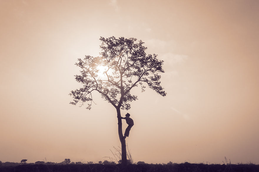 A Lone Tree: My Search For A Path In Life