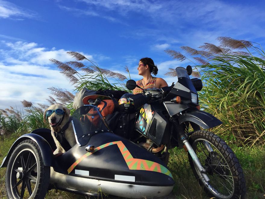 Adventure Dog Travels North America In A Motorcycle Sidecar With His Best Friend