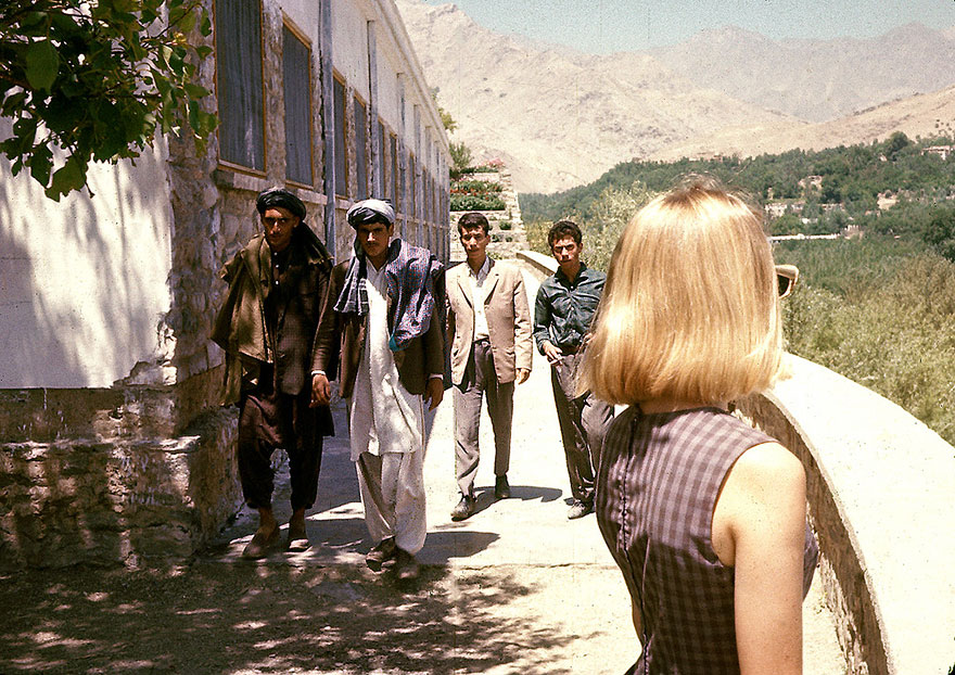 Blonde & Afghans