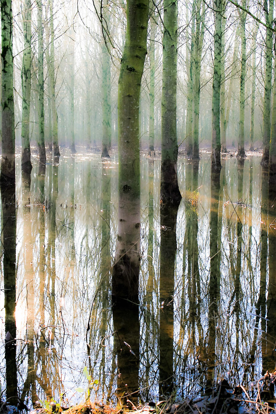 After The Flood