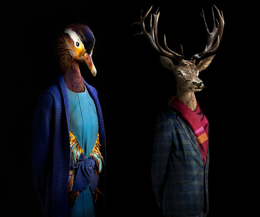 Artist Imagines Fashion World Of Wildlife