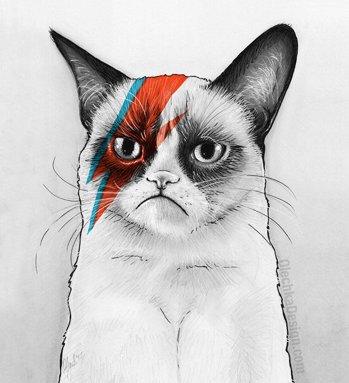 Grumpy Cat As David Bowie