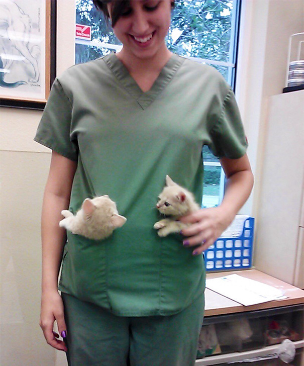 Person With Veterinarian Wife: I, Too, Work At A Vet And Have Had Pocket Kittens