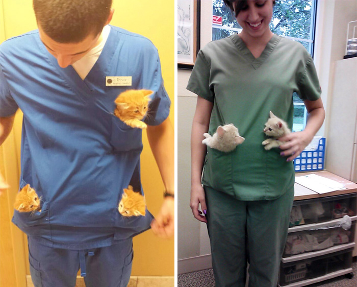 51 Benefits Of Working At An Animal Hospital