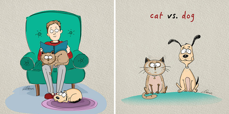 Cats Vs Dogs: 6 Differences Illustrated By Bird Born