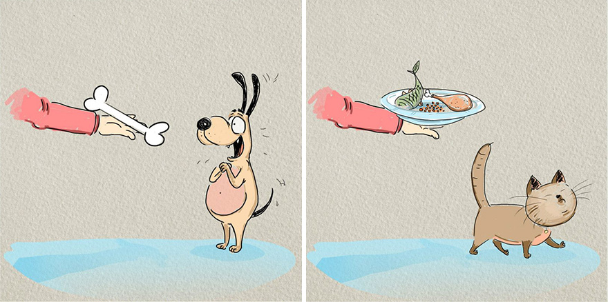 cats-vs-dogs-funny-illustrations-bird-born-3