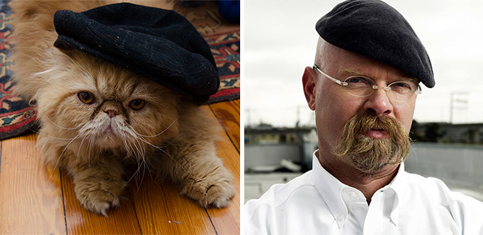 Cat Looks Like Jamie From Mythbusters