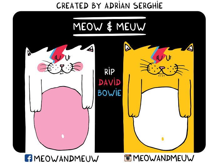 Meow & Meuw
