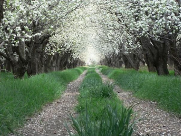 Different Pictures From Iran's Nature