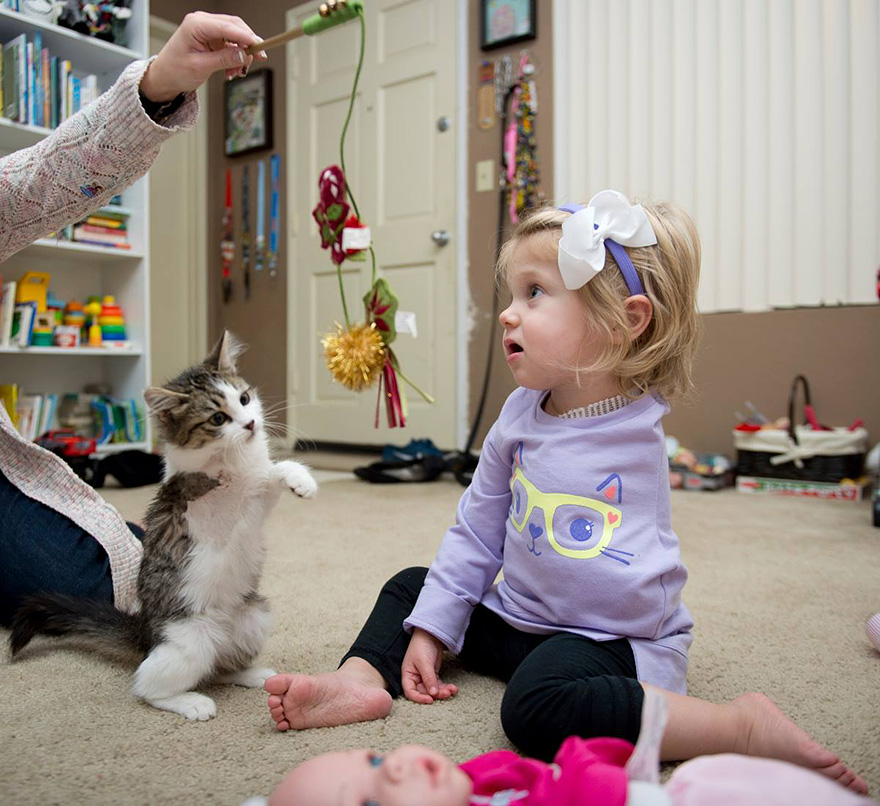 3-Legged Kitten Adopted By Amputee Girl Becomes Her Best Friend