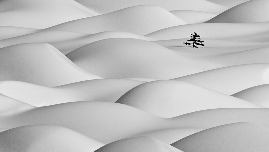The Beauty Of Winter Captured In Minimalist Pictures