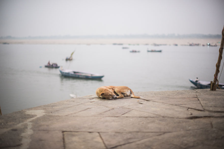 Everyday Life In The City Of Varanasi That I Captured During My Travels (Part 2)