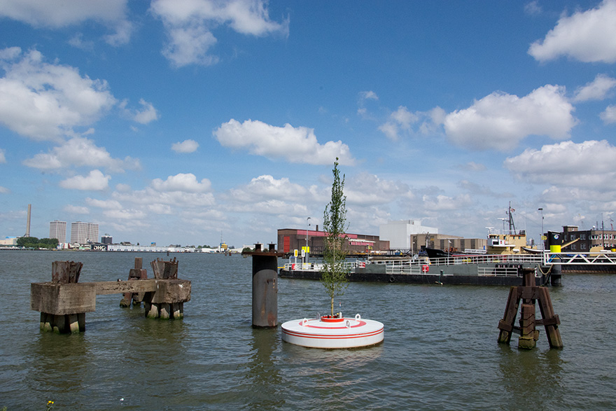 A Floating Forest To Be Installed In Rotterdam