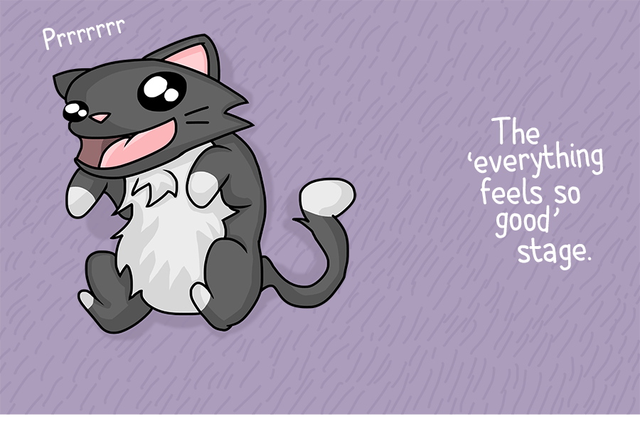 Cats On Catnip: I Illustrated The 7 Stages They Go Through