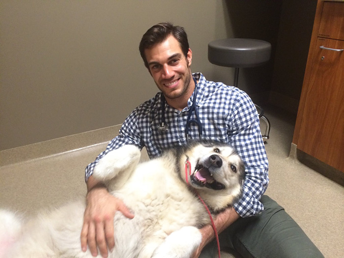 The Hottest Animal Doctor Ever That'll Make You Want To Get Your Pet  Checked | Bored Panda