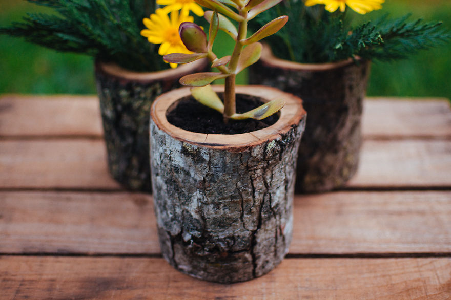 I Recycle Trees Into Natural Vases