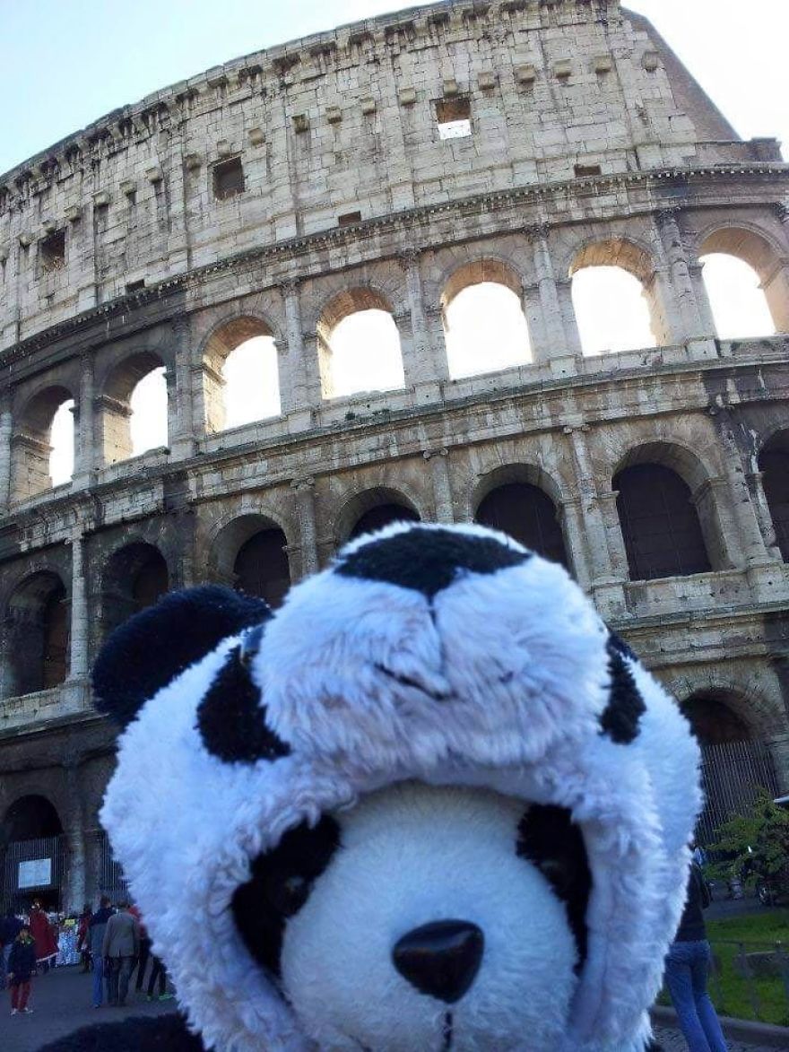 I Travel The World With My Panda Bear