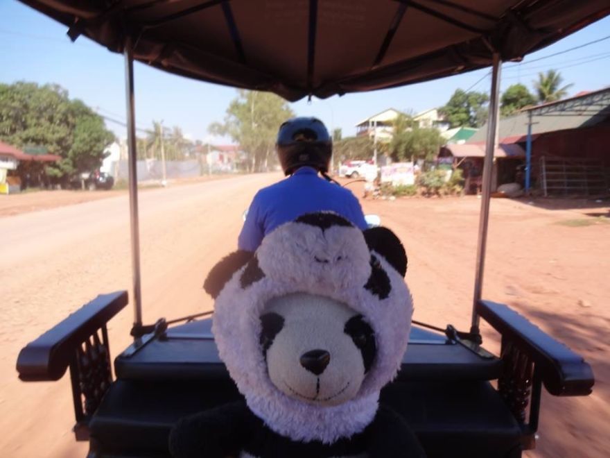I Travel The World With My Panda Bear