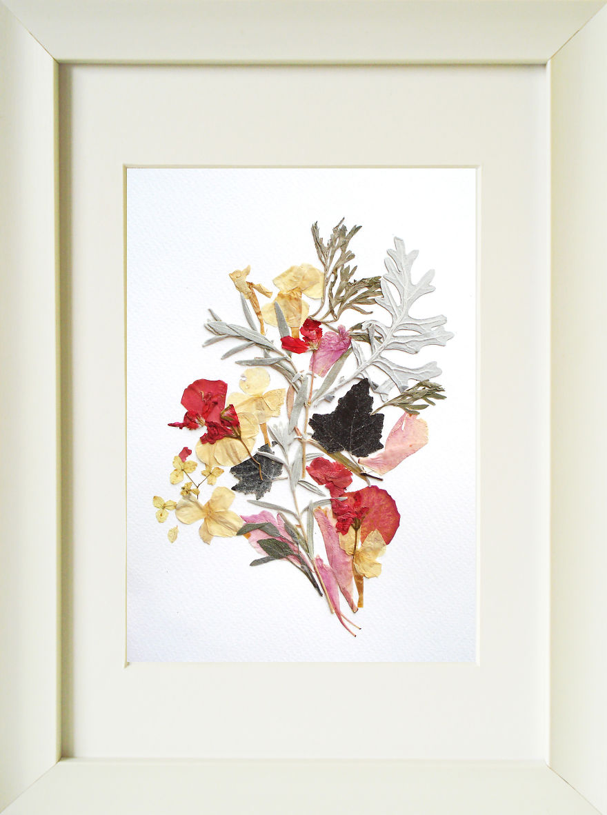 I Used 30 Plant Species To Create These Botanical Illustrations