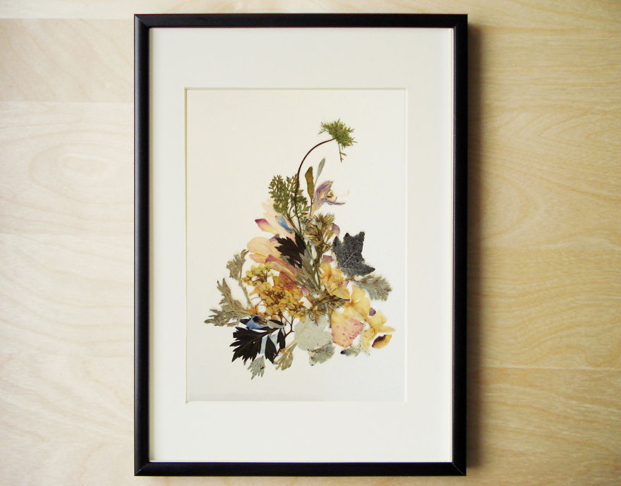 I Used 30 Plant Species To Create These Botanical Illustrations