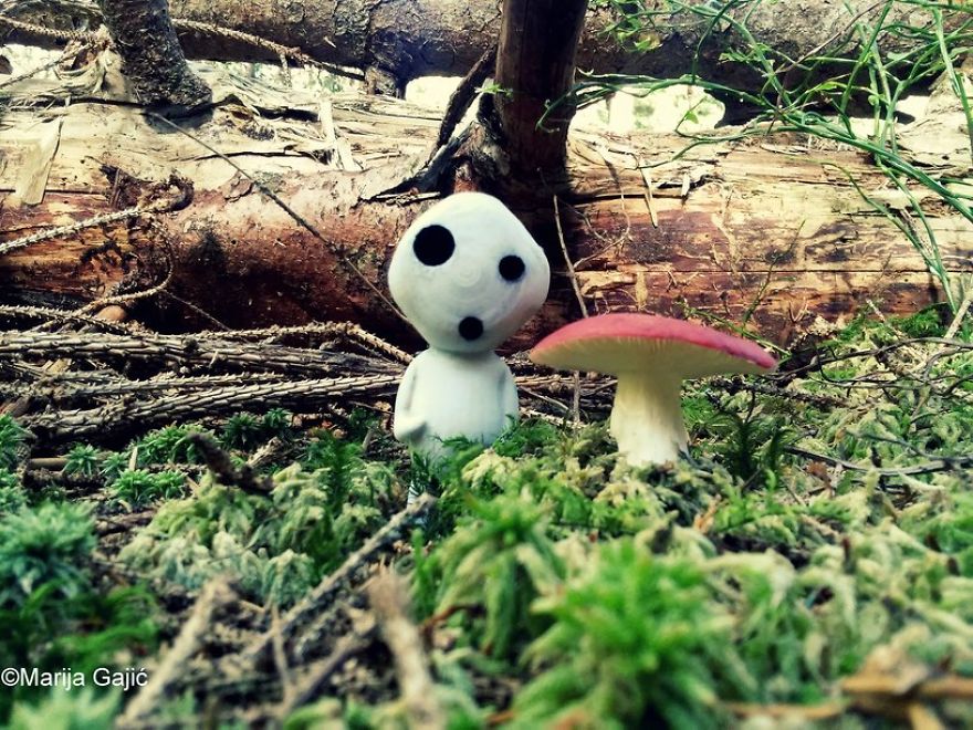 Life Of The Tree Spirit (kodama) Life Of The Tree Spirit (kodama)