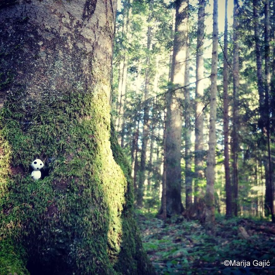 Life Of The Tree Spirit (kodama) Life Of The Tree Spirit (kodama)