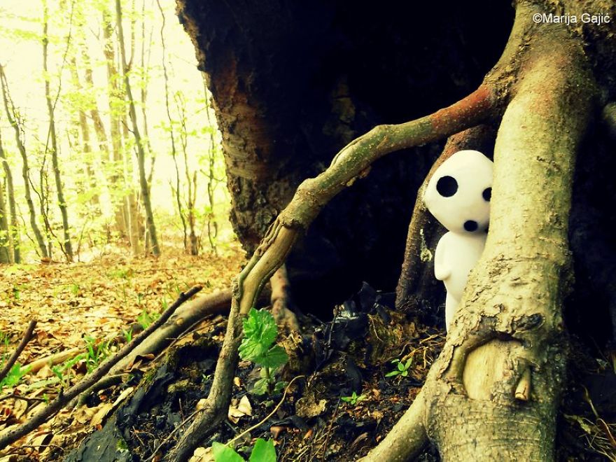 Life Of The Tree Spirit (kodama) Life Of The Tree Spirit (kodama)