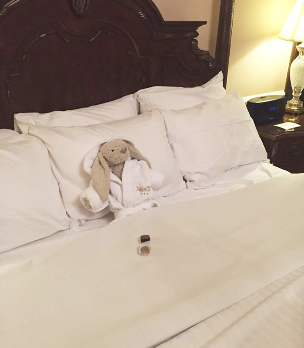 Little Girl Forgets Her Stuffed Bunny At Hotel, Staff Takes It On Adventure