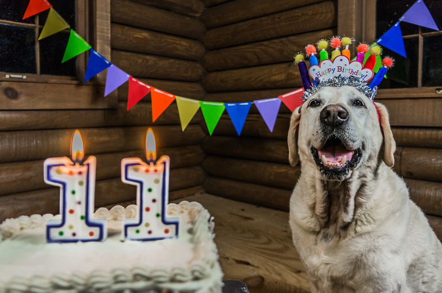 Motorcycle Dog Celebrates 11th Birthday On The Road!