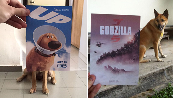 Instagrammer Combines Famous Movie Posters With Real-Life Puppies