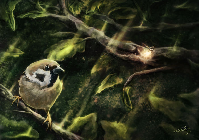 My Digital Paintings:
Drenus' Art