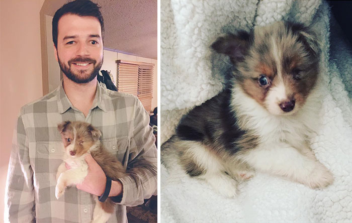 This Guy Only Has Vision In One Eye, So He Bought A One-Eyed-Dog That No One Else Wanted
