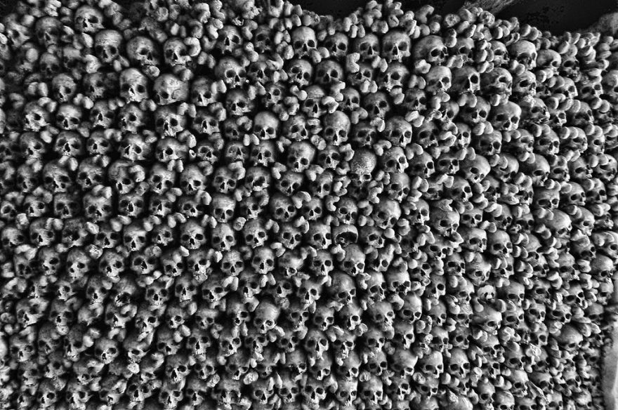 Find The Panda: Wall Of Skulls