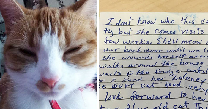 Cat Returns Home With A Note Revealing She Has A Secret Family