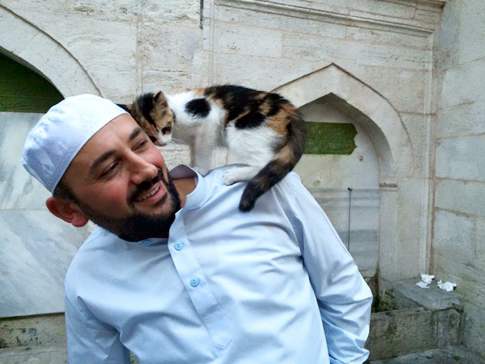 Imam Opens Mosque’s Doors To Stray Cats To Keep Them Warm