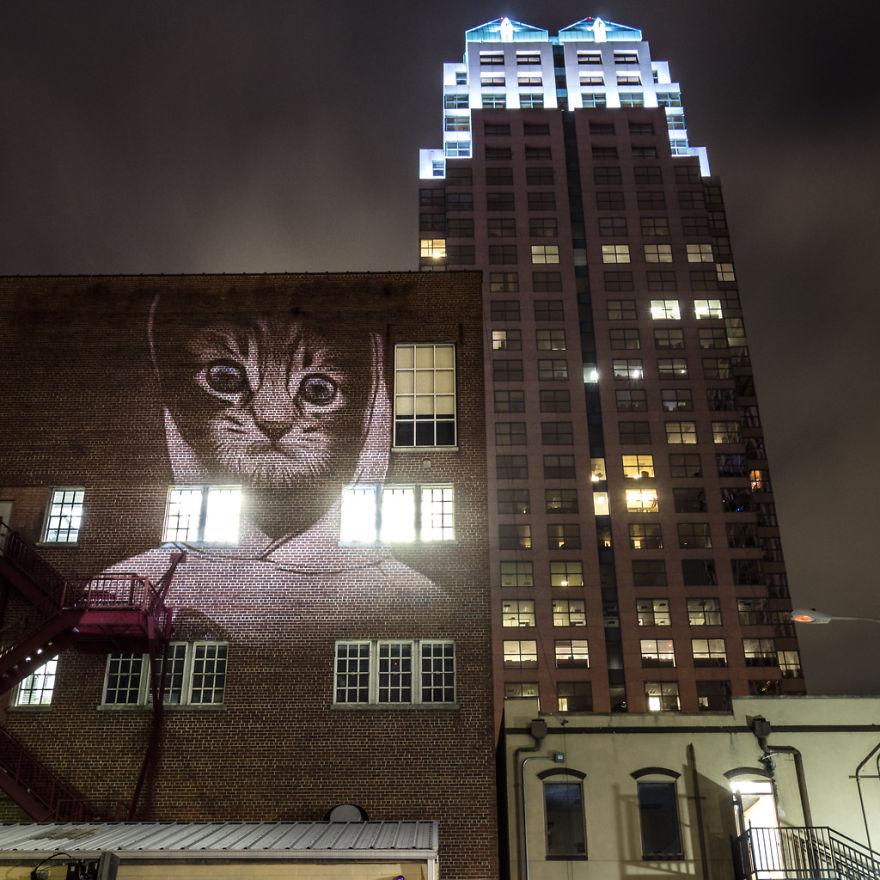 Stylish Hipster Animals Take Over The Buildings Of Orlando