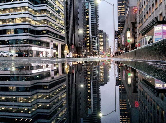 The Parallel Worlds Of Puddles In Toronto